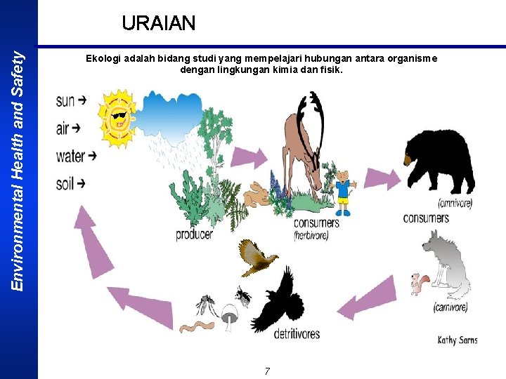 Environmental Health and Safety URAIAN Ekologi adalah bidang studi yang mempelajari hubungan antara organisme