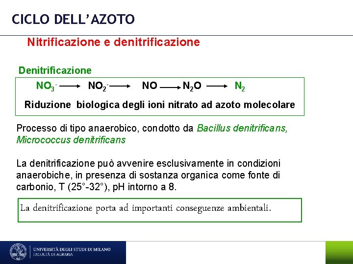 CICLO DELL’AZOTO Nitrificazione e denitrificazione Denitrificazione NO 3 - NO 2 - NO N