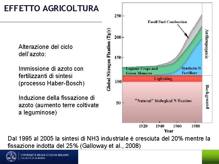 EFFETTO AGRICOLTURA Alterazione del ciclo dell’azoto: Immissione di azoto con fertilizzanti di sintesi (processo