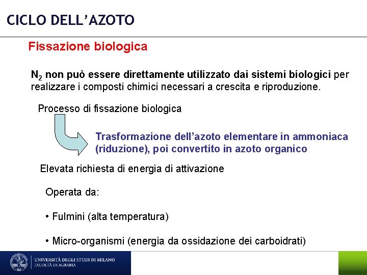 CICLO DELL’AZOTO Fissazione biologica N 2 non può essere direttamente utilizzato dai sistemi biologici