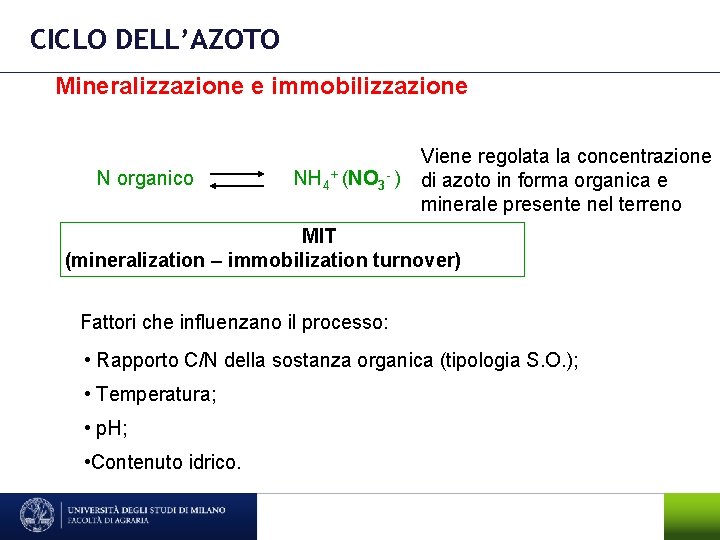 CICLO DELL’AZOTO Mineralizzazione e immobilizzazione N organico NH 4+ (NO 3 - ) Viene