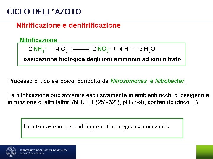 CICLO DELL’AZOTO Nitrificazione e denitrificazione Nitrificazione 2 NH 4+ + 4 O 2 2