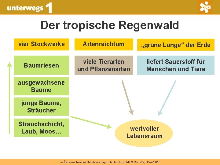 Der tropische Regenwald vier Stockwerke Artenreichtum „grüne Lunge“ der Erde Baumriesen viele Tierarten und