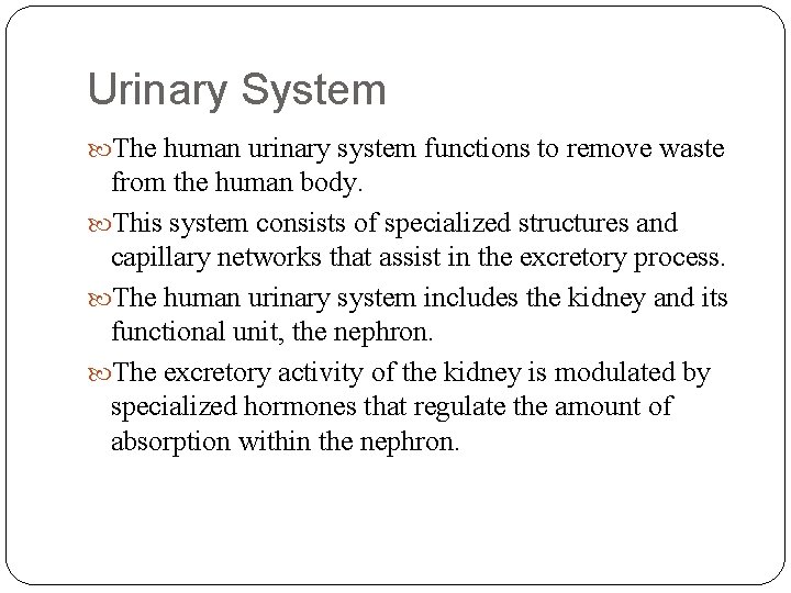 Urinary System The human urinary system functions to remove waste from the human body.