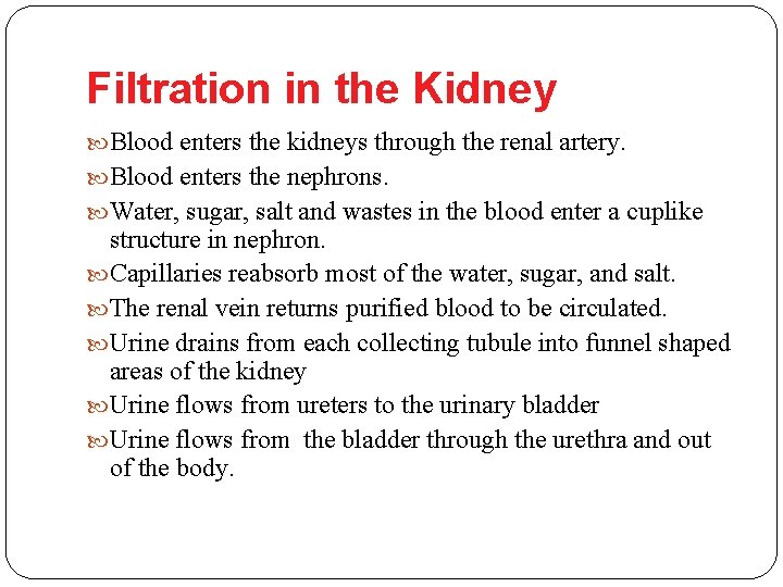 Filtration in the Kidney Blood enters the kidneys through the renal artery. Blood enters