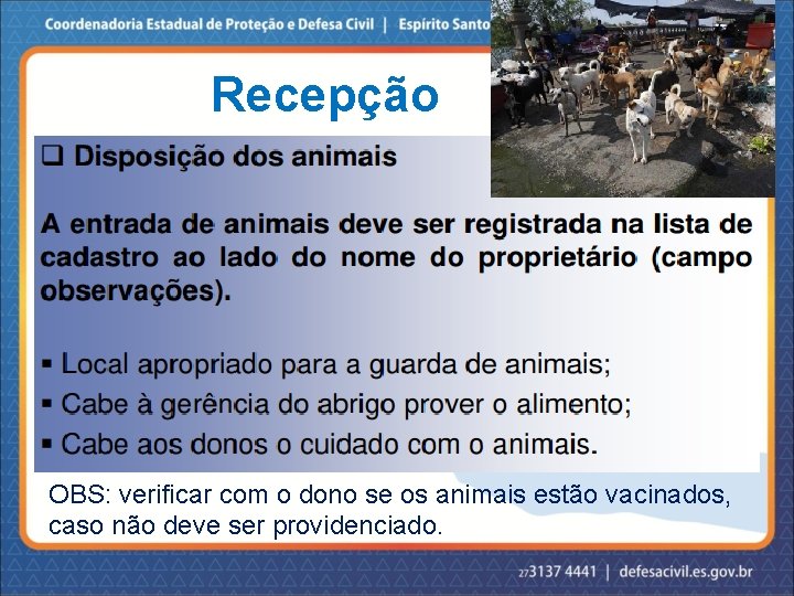 Recepção OBS: verificar com o dono se os animais estão vacinados, caso não deve