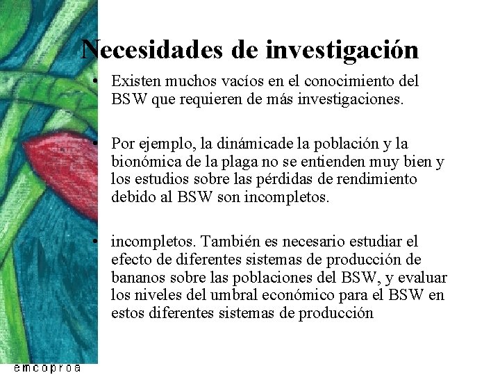 Necesidades de investigación • Existen muchos vacíos en el conocimiento del BSW que requieren Necesidades de investigación • Existen muchos vacíos en el conocimiento del BSW que requieren