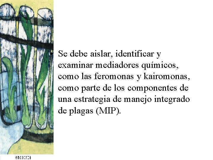 • Se debe aislar, identificar y examinar mediadores químicos, como las feromonas y • Se debe aislar, identificar y examinar mediadores químicos, como las feromonas y