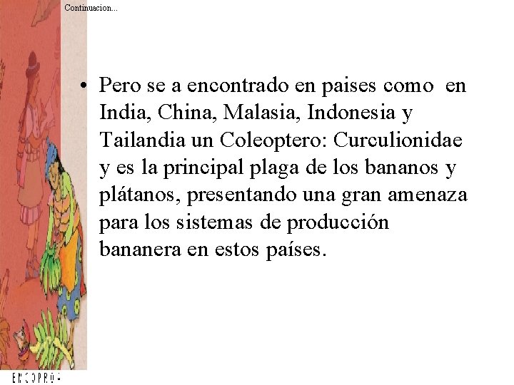 Continuacion. . . • Pero se a encontrado en paises como en India, China, Continuacion. . . • Pero se a encontrado en paises como en India, China,