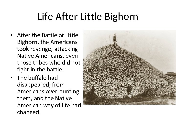 Life After Little Bighorn • After the Battle of Little Bighorn, the Americans took