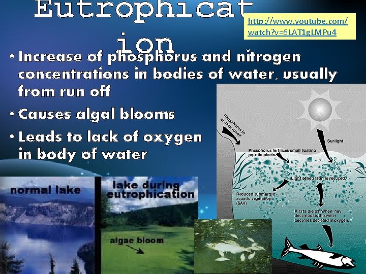 Eutrophicat ion • Increase of phosphorus and nitrogen http: //www. youtube. com/ watch? v=6