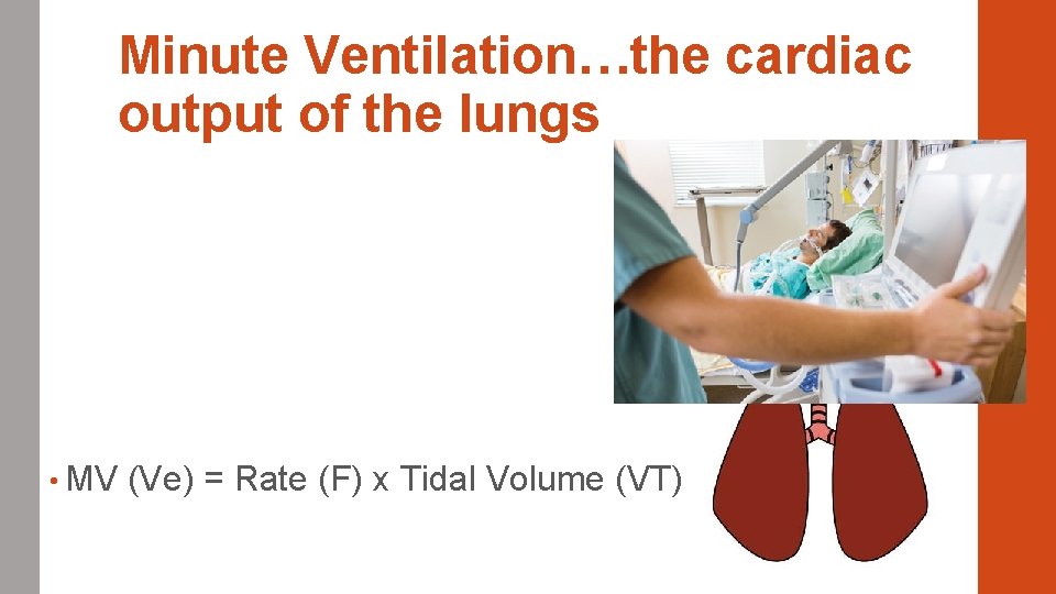 Minute Ventilation…the cardiac output of the lungs • MV (Ve) = Rate (F) x
