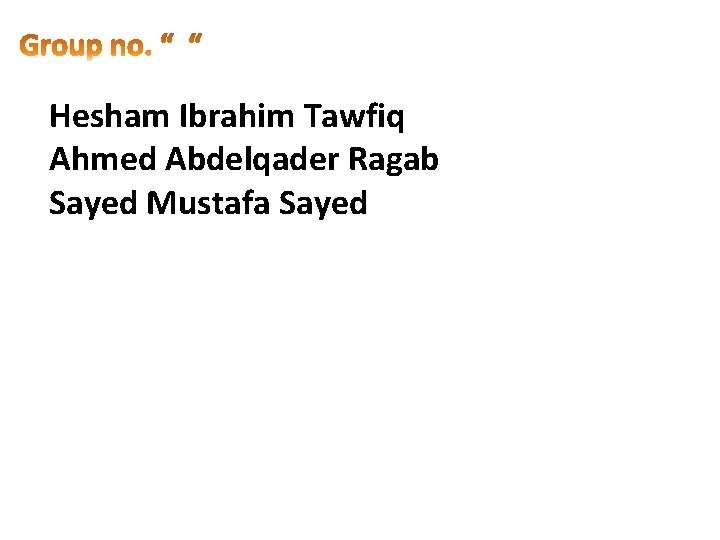 Hesham Ibrahim Tawfiq Ahmed Abdelqader Ragab Sayed Mustafa Sayed 