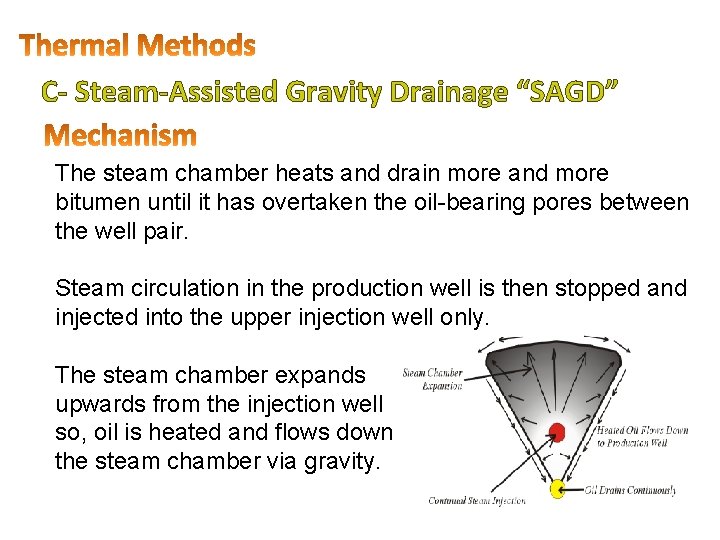 C- Steam-Assisted Gravity Drainage “SAGD” The steam chamber heats and drain more and more