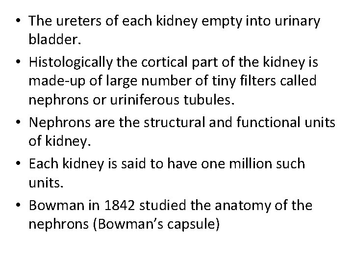  • The ureters of each kidney empty into urinary bladder. • Histologically the
