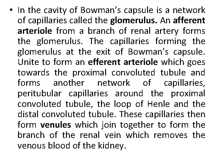  • In the cavity of Bowman’s capsule is a network of capillaries called