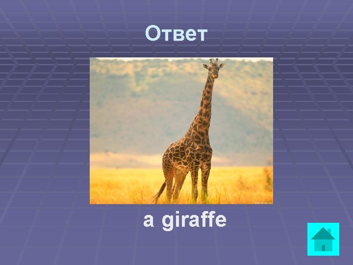 Ответ a giraffe 