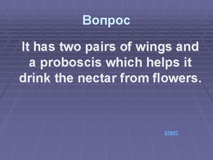 Вопрос It has two pairs of wings and a proboscis which helps it drink