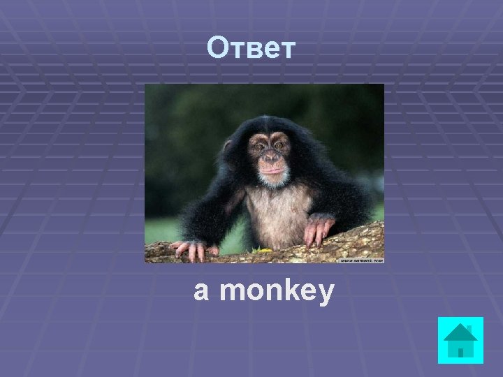 Ответ a monkey 