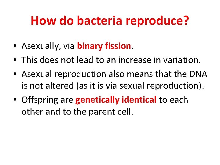 How do bacteria reproduce? • Asexually, via binary fission. • This does not lead