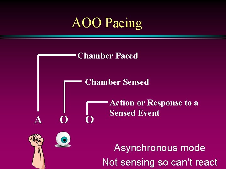 AOO Pacing Chamber Paced Chamber Sensed A O O Action or Response to a