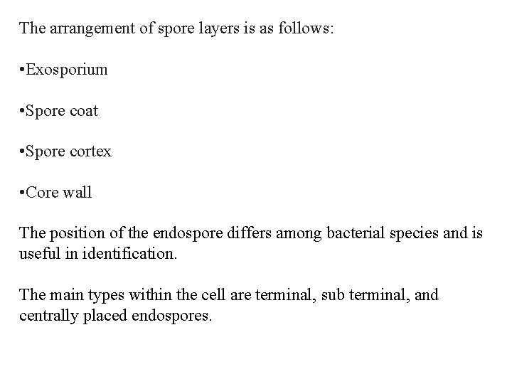 The arrangement of spore layers is as follows: • Exosporium • Spore coat •