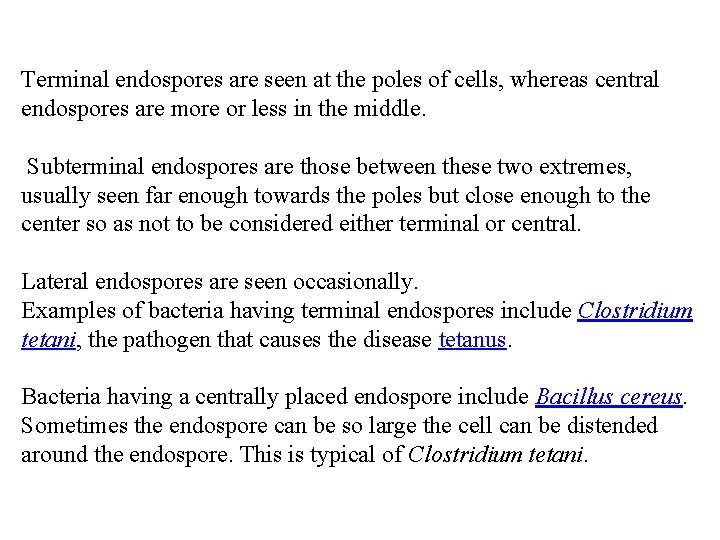 Terminal endospores are seen at the poles of cells, whereas central endospores are more