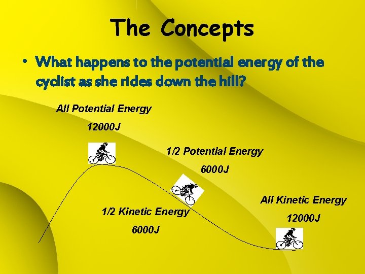 The Concepts • What happens to the potential energy of the cyclist as she