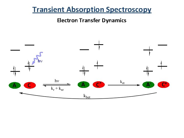 Transient Absorption Spectroscopy Electron Transfer Dynamics hn A C* A- C+ 