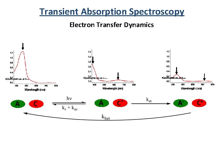 Transient Absorption Spectroscopy Electron Transfer Dynamics A C* A- C+ 