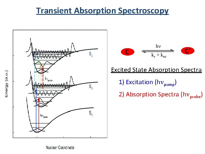 Transient Absorption Spectroscopy C C* Excited State Absorption Spectra 1) Excitation (hnpump) 2) Absorption