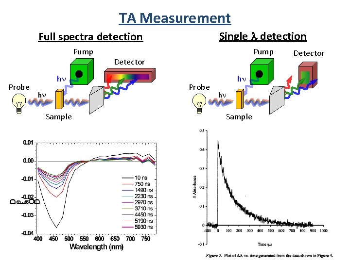 TA Measurement Single l detection Full spectra detection Pump Probe hn hn Sample Pump