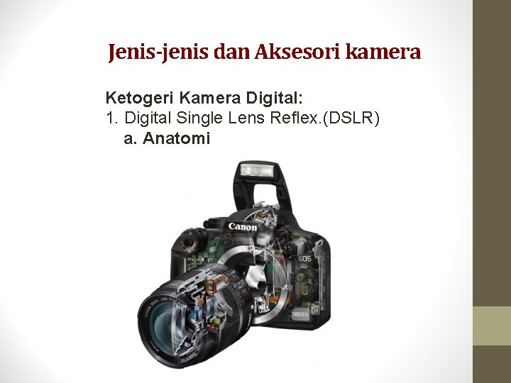 Jenis-jenis dan Aksesori kamera Ketogeri Kamera Digital: 1. Digital Single Lens Reflex. (DSLR) a.