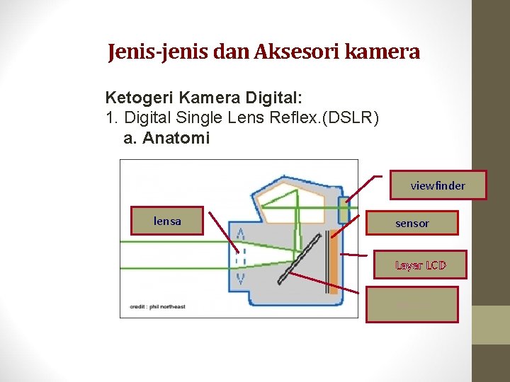Jenis-jenis dan Aksesori kamera Ketogeri Kamera Digital: 1. Digital Single Lens Reflex. (DSLR) a.