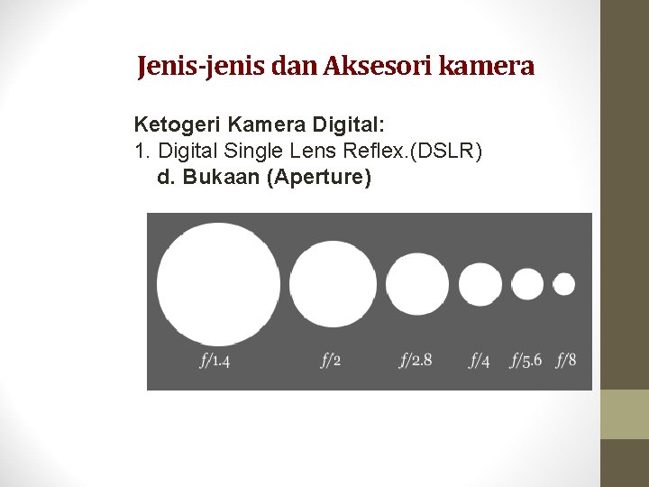 Jenis-jenis dan Aksesori kamera Ketogeri Kamera Digital: 1. Digital Single Lens Reflex. (DSLR) d.