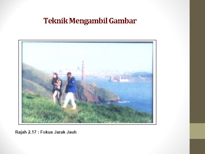 Teknik Mengambil Gambar 