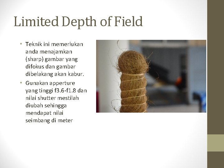 Limited Depth of Field • Teknik ini memerlukan anda menajamkan (sharp) gambar yang difokus