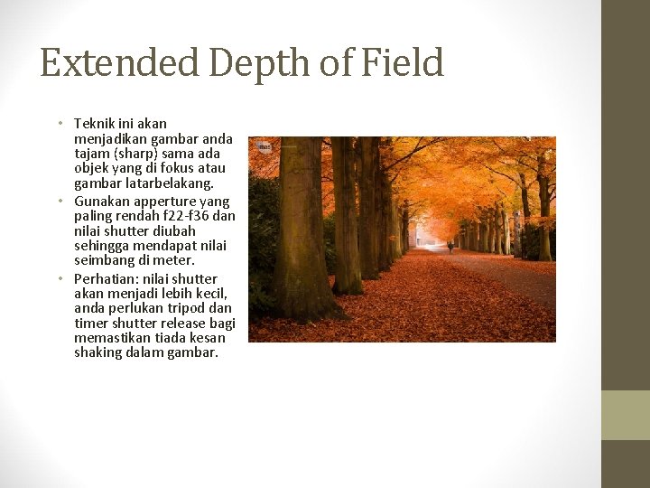 Extended Depth of Field • Teknik ini akan menjadikan gambar anda tajam (sharp) sama