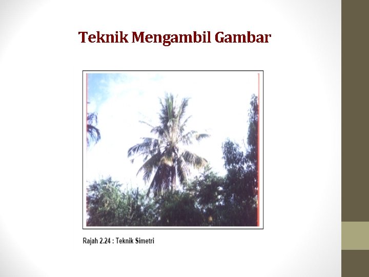 Teknik Mengambil Gambar 