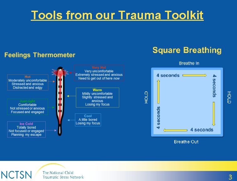 Tools from our Trauma Toolkit 3 