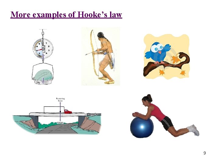 More examples of Hooke’s law 9 