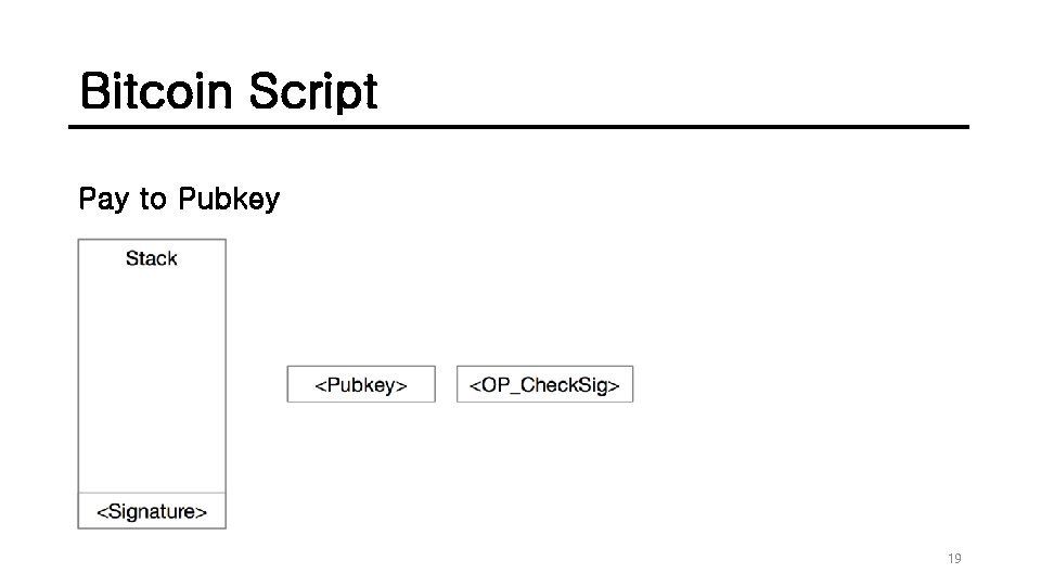 Bitcoin Script Pay to Pubkey 19 