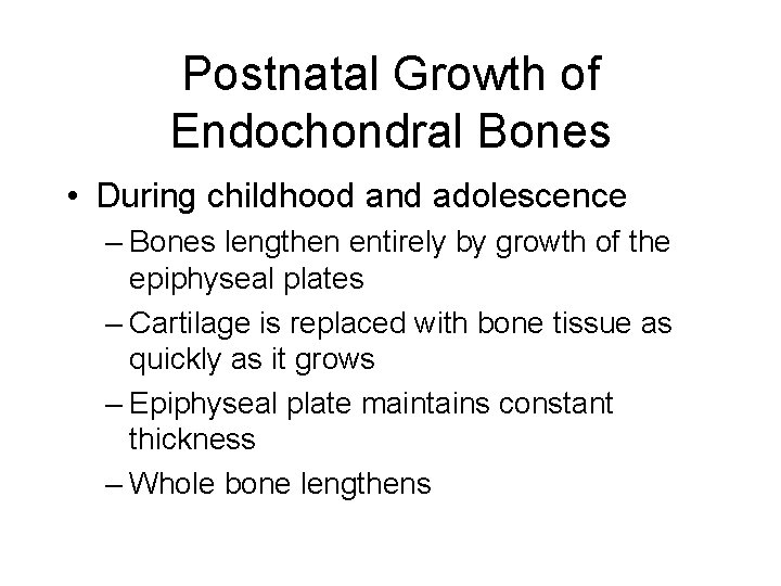 Postnatal Growth of Endochondral Bones • During childhood and adolescence – Bones lengthen entirely