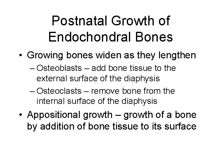 Postnatal Growth of Endochondral Bones • Growing bones widen as they lengthen – Osteoblasts