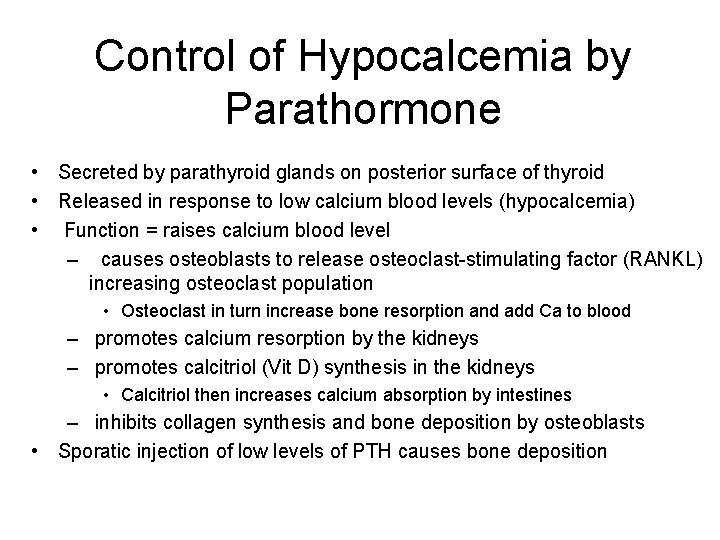 Control of Hypocalcemia by Parathormone • Secreted by parathyroid glands on posterior surface of