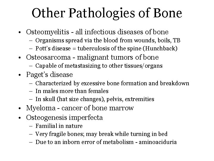 Other Pathologies of Bone • Osteomyelitis - all infectious diseases of bone – Organisms