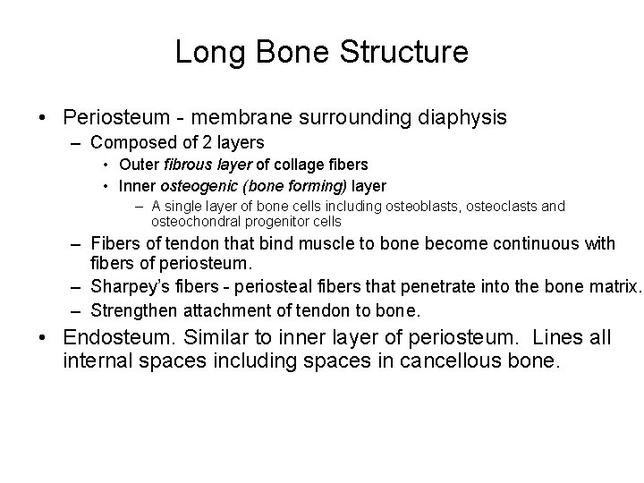 Long Bone Structure • Periosteum - membrane surrounding diaphysis – Composed of 2 layers