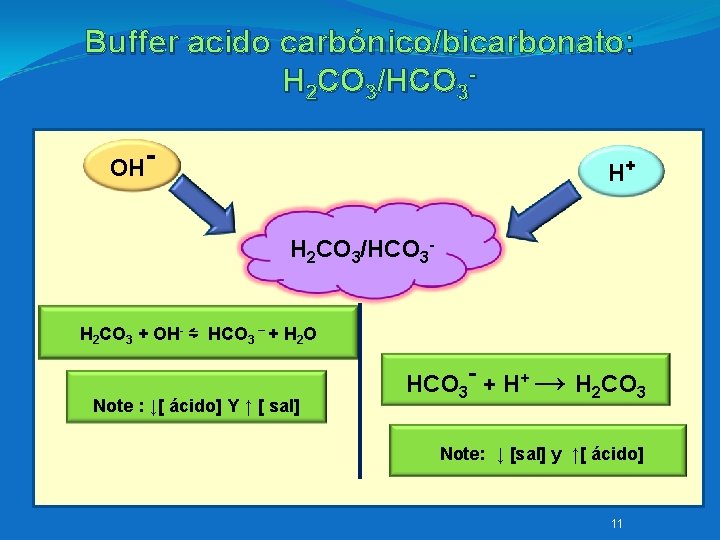 Buffer acido carbónico/bicarbonato: H 2 CO 3/HCO 3 OH- H+ H 2 CO 3/HCO