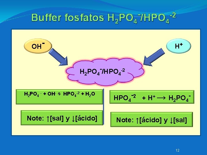 Buffer fosfatos H 2 PO 4 /HPO 4 -2 OH- H+ H 2 PO