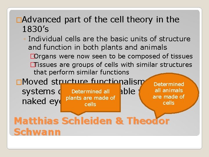 �Advanced 1830’s part of the cell theory in the ◦ Individual cells are the